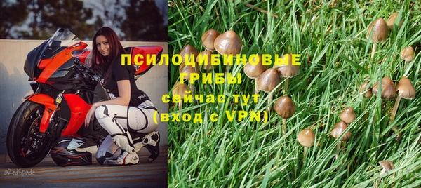 jwh Абаза